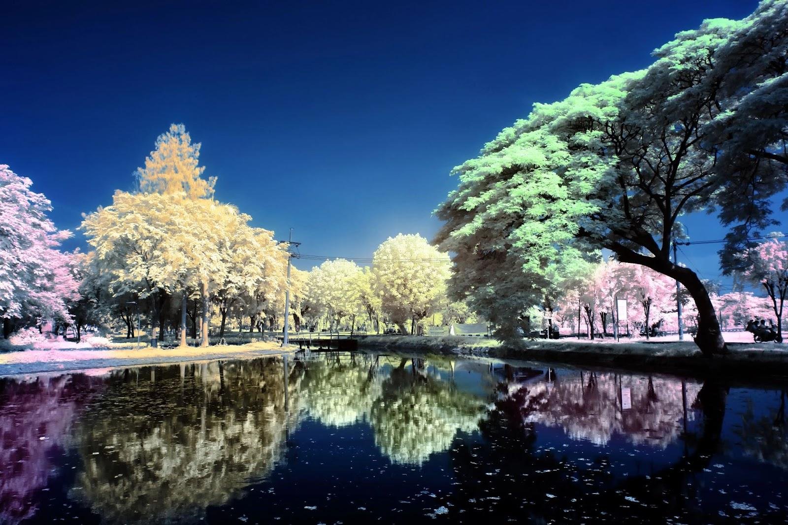 4 Simple Photography Ideas to Capture Striking Pictures and Enhance Your Skills 2