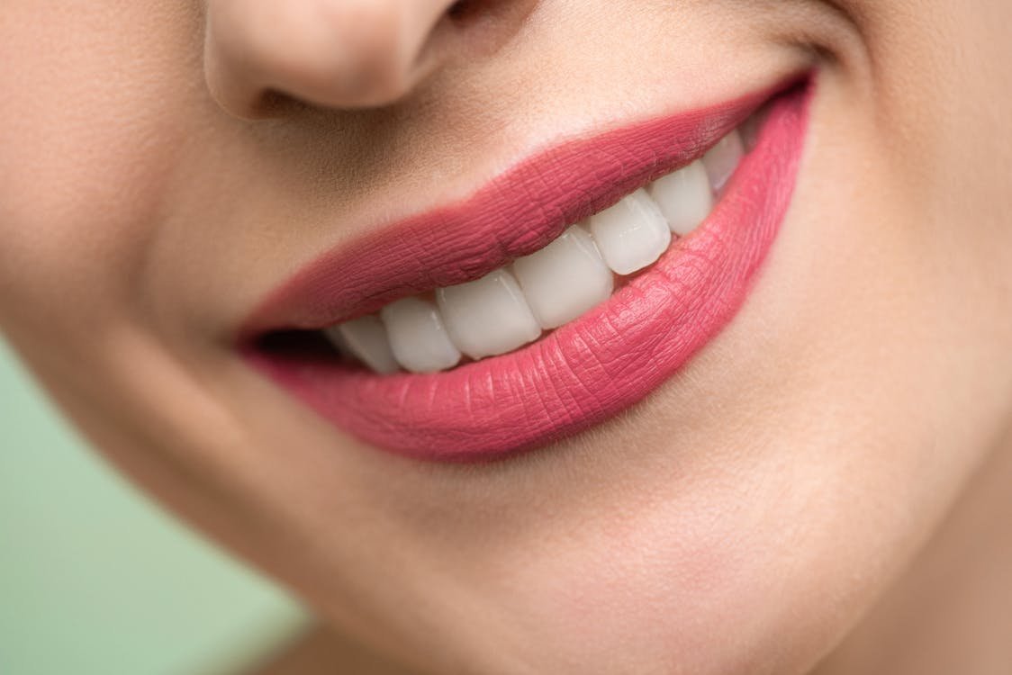 Types of Teeth and Their Functions