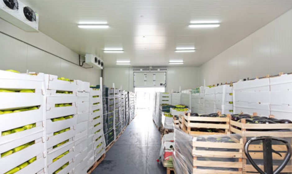 Exploring-Cold-Storage-Solutions