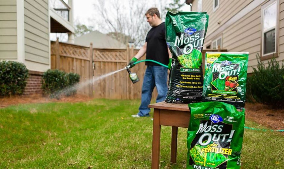 How-to-Use-Moss-Out
