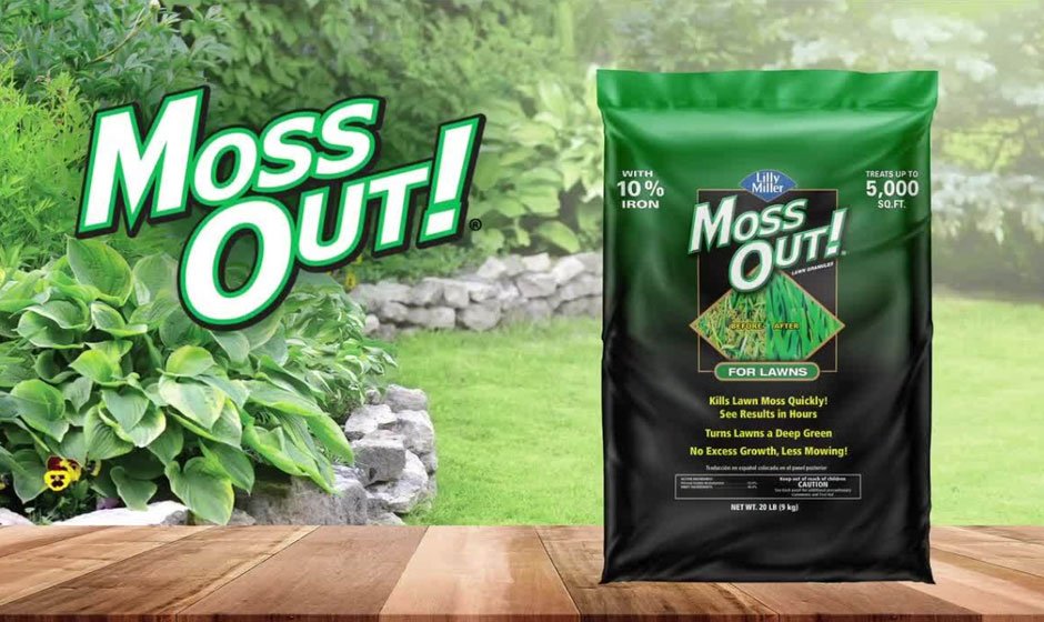Moss-Out