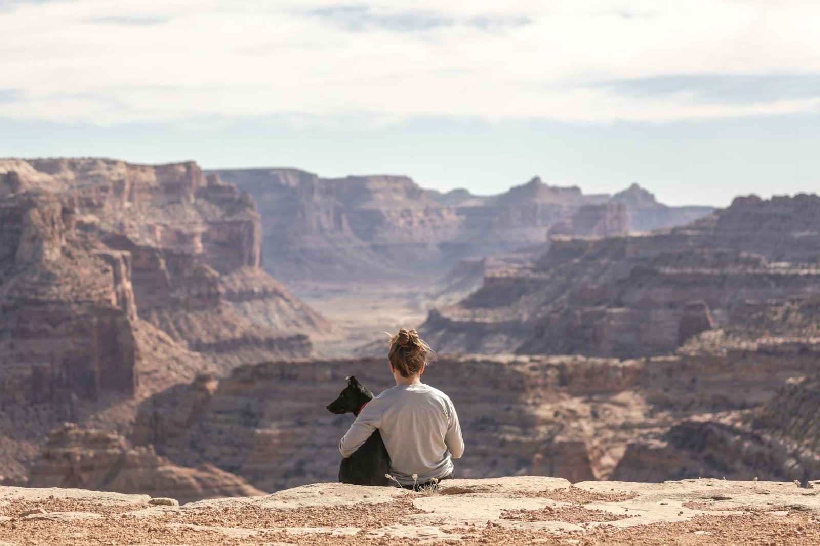 Essential Tips for Traveling with Your Furry Friend