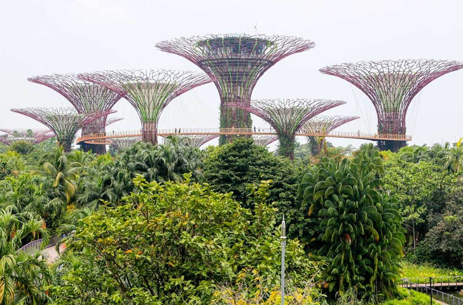 Exploring Singapore and Malaysia