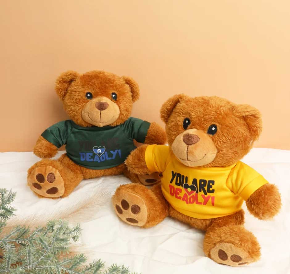 How Custom Teddy Bears are Changing Brand Promotions in E-Commerce