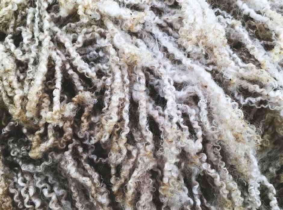 Features-of-Merino-Wool-That-Makes-It-Unique