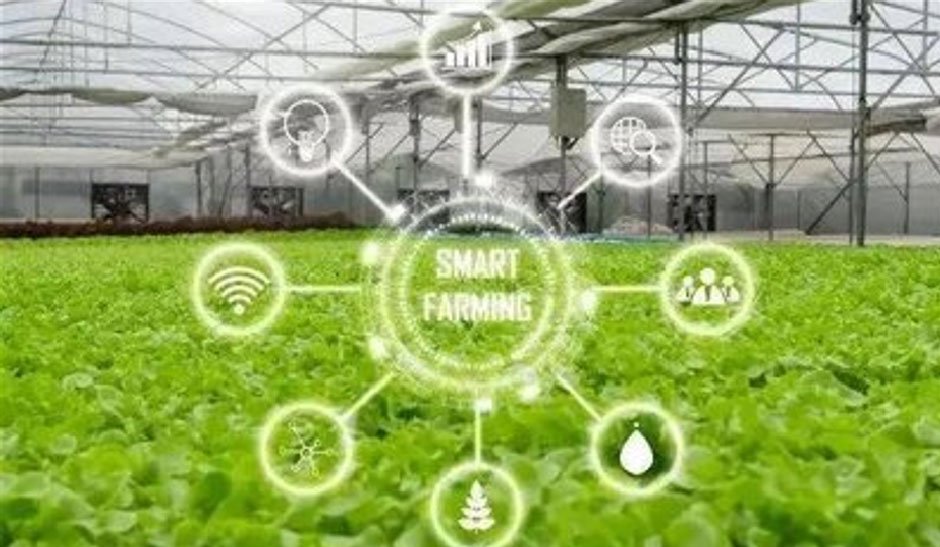 Growth-environment-monitoring