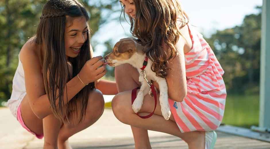 How Pets Can Foster Emotional Growth in Children