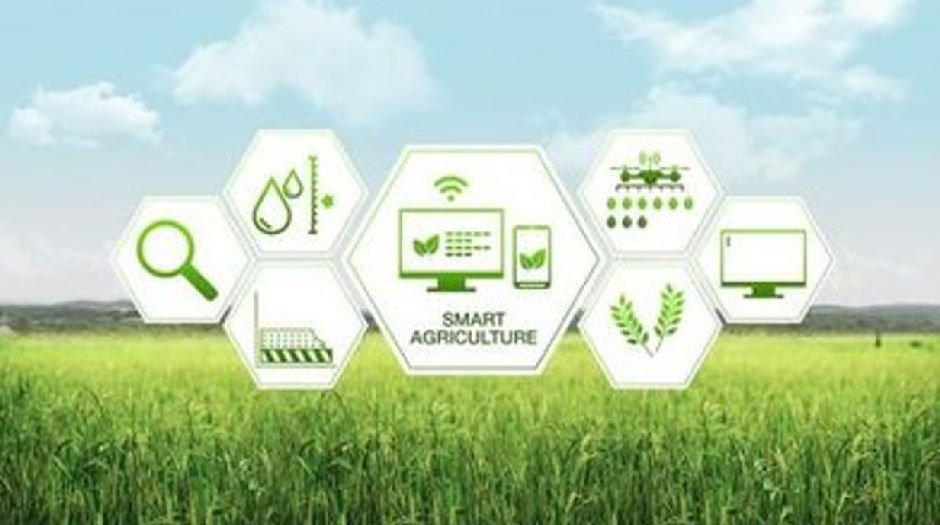 Pest-and-disease-monitoring-and-control
