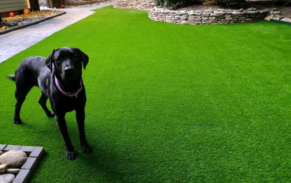 The Role of Artificial Grass in Low-Maintenance Landscaping