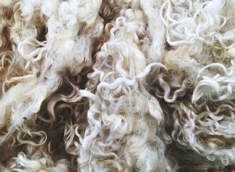 What Makes Merino Wool Different from Regular Wool