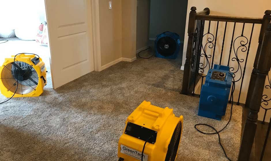 Expert Bed Bug Exterminator Services to Restore Your Peace of Mind
