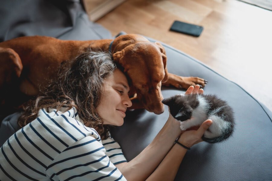 The Benefits of Choosing a Pet-Friendly Luxury Apartment