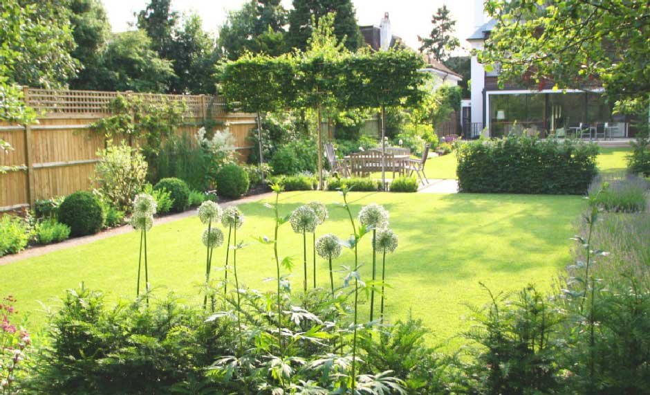5 Lawn Maintenance Tips for a Thick, Green Lawn