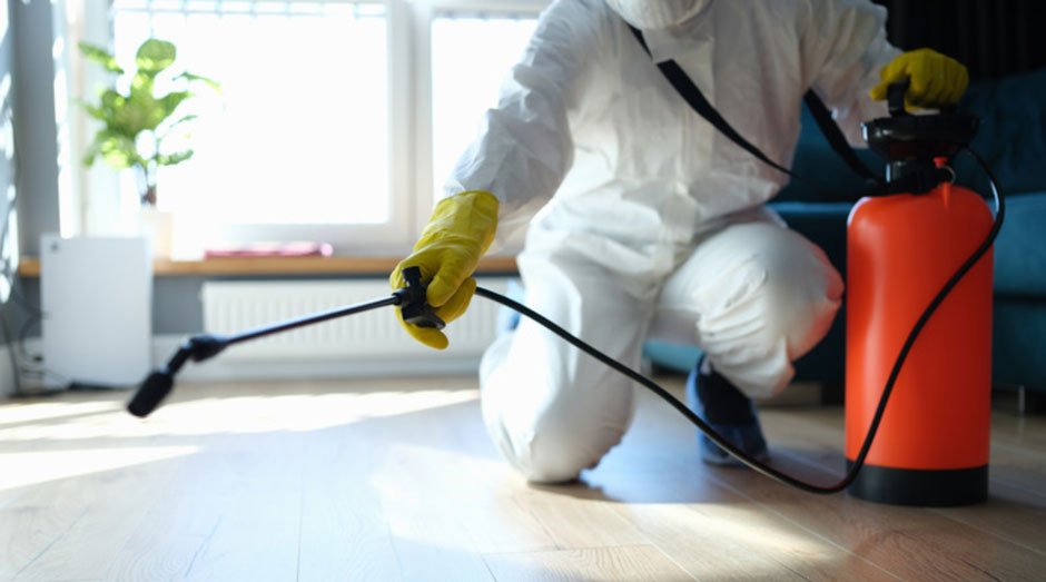 Why St. George Homes Face Unique Pest Problems All Year Round