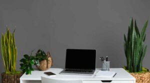 Image showcasing 10 Eco-Friendly Office Decor Ideas for a Greener Workday - Upbeat Geek