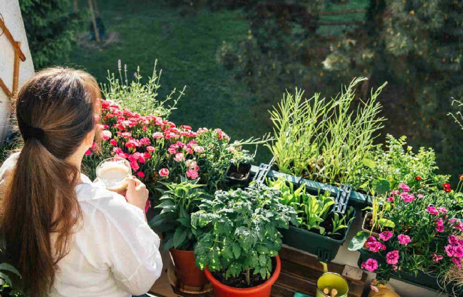 How Cultivating Plants Can Improve Your Well-being