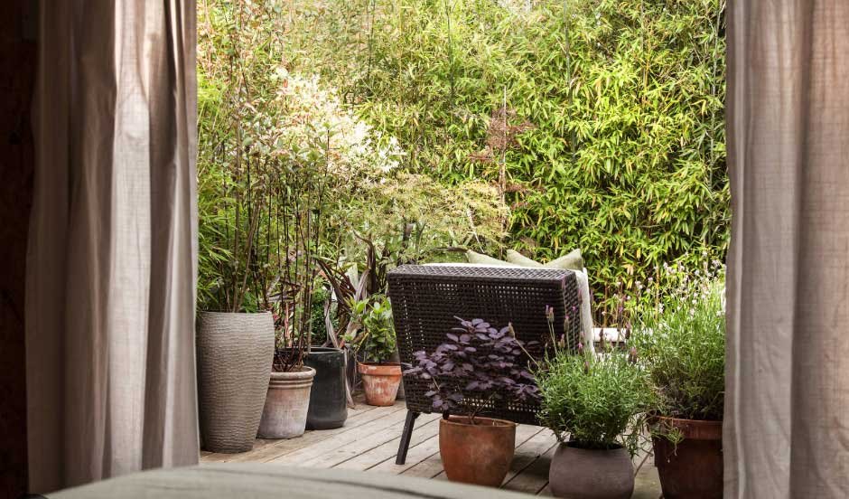 How To Turn Your City Home Into an Urban Oasis