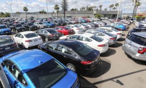 Why Local Regulations and Markets Matter