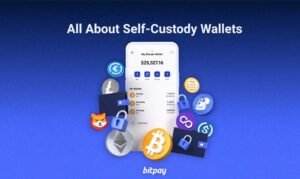 Is Your Wallet Secure