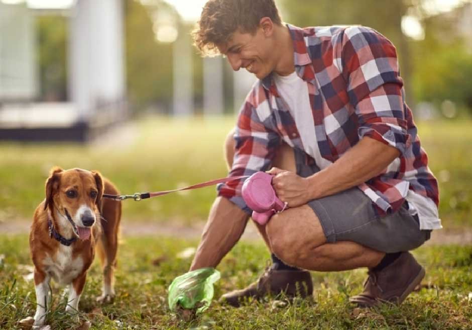 Summer Adventures, Hidden Hazards: The Parasites Your Pet Might Pick Up on a Walk