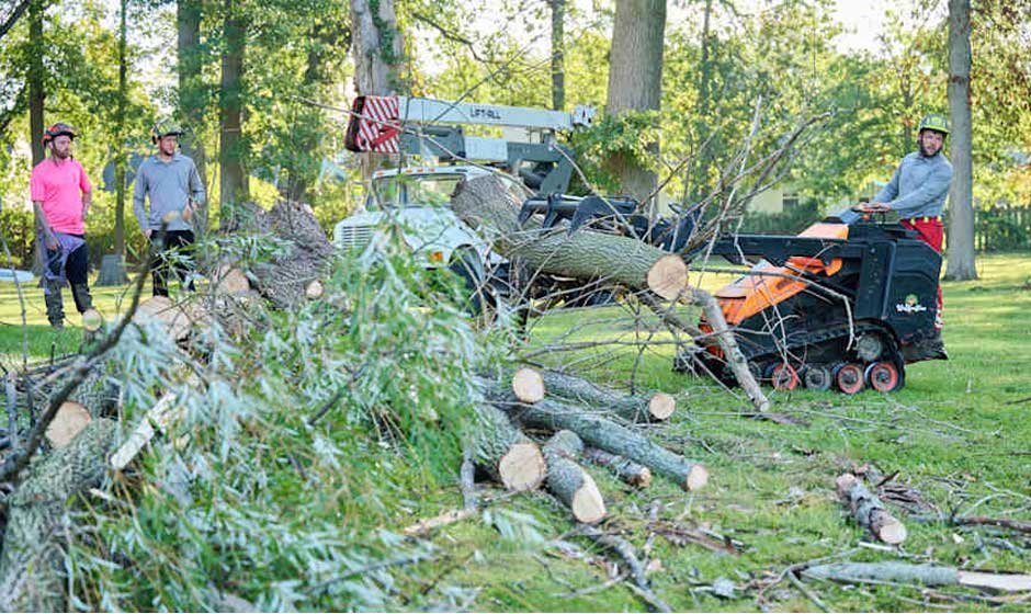 Why Precision Matters When Booking Tree Pruning Service That Works