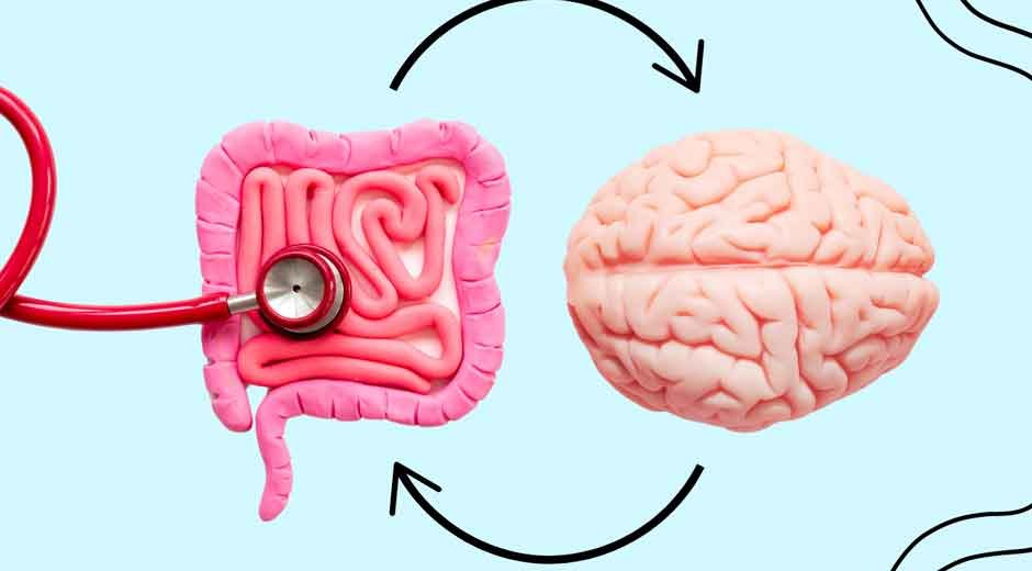 THE GUT-BRAIN CONNECTION: HOW YOUR DIET IMPACTS MENTAL WELL-BEING