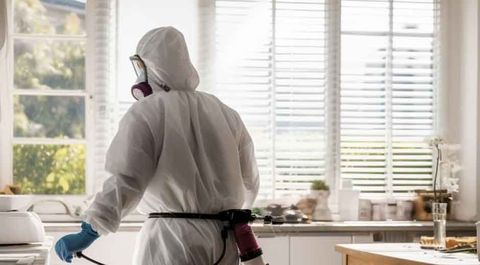 Don’t Risk DIY Failures: Hire a Professional Exterminator for Lasting Results