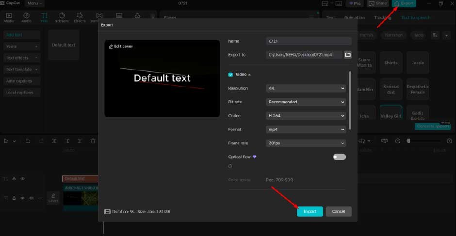Export Video