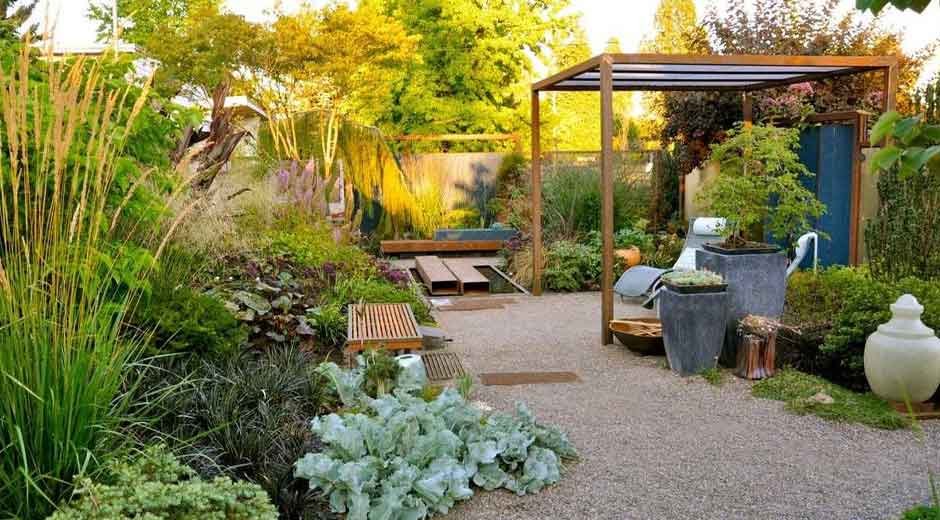 A Practical Guide to Creating a Sustainable Backyard