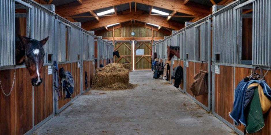 Easy Barn Maintenance Tips for Beginners