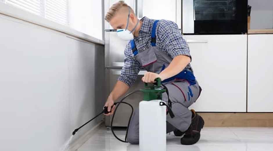 Free with Reliable Pest Control in Pembroke