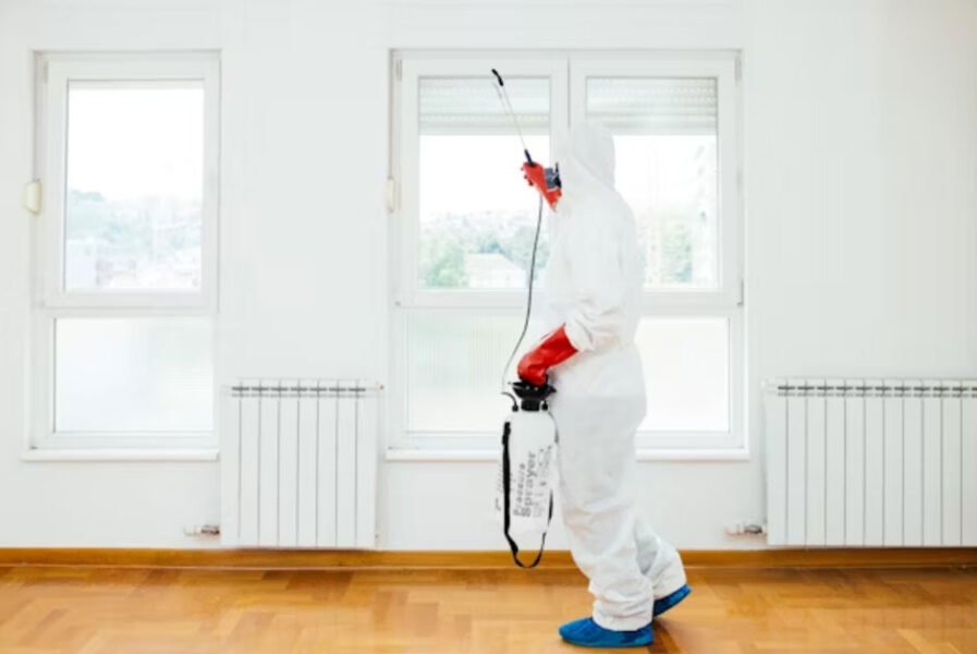 How Reliable Pest Control Professionals Keep Your Home Safe