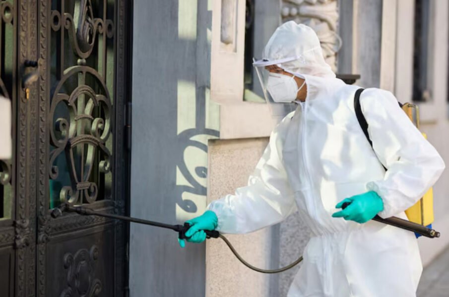 How Reliable Pest Control Professionals Keep Your Home Safe