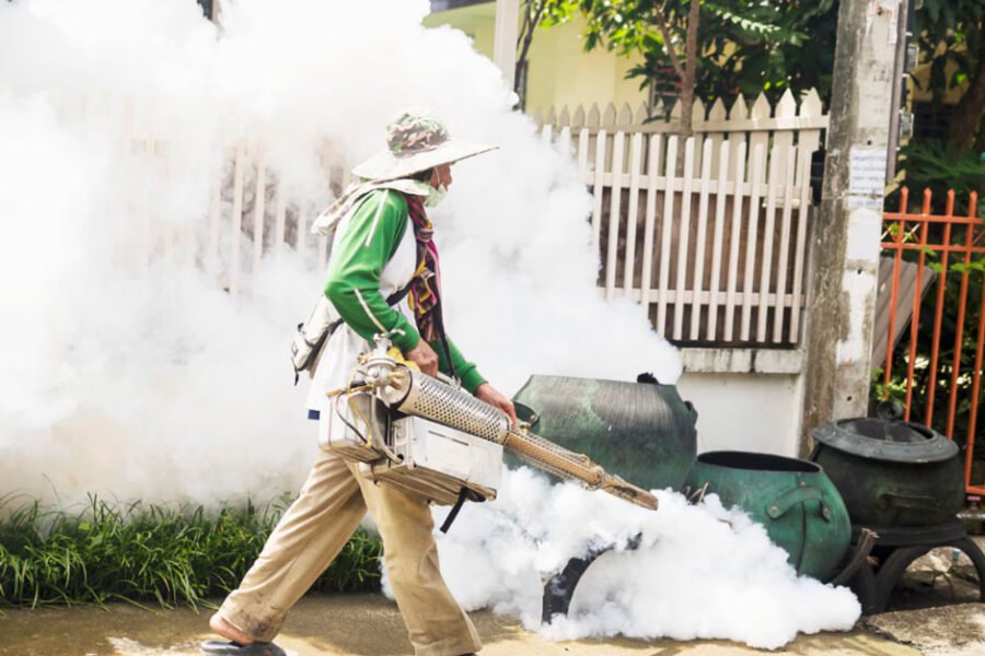 How Reliable Pest Control Professionals Keep Your Home Safe