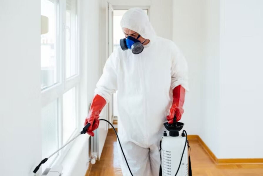 Why Hiring Local Pest Control Technicians Is Smartest Choice For Your Home