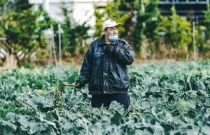 How Quality Seeds Affect the Aroma and Flavor of Your Harvest