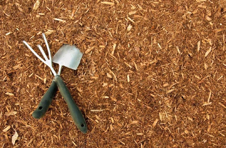 Product Quality Matters