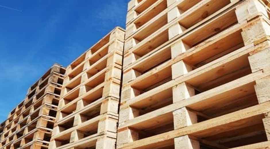 Why Choosing the Wrong Pallet Type Costs Businesses More Than They Realise