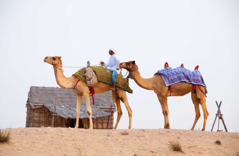 Desert Safari Dubai Packages Designed for Adventure, Comfort, and Value