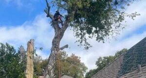 Before the Storm Hits