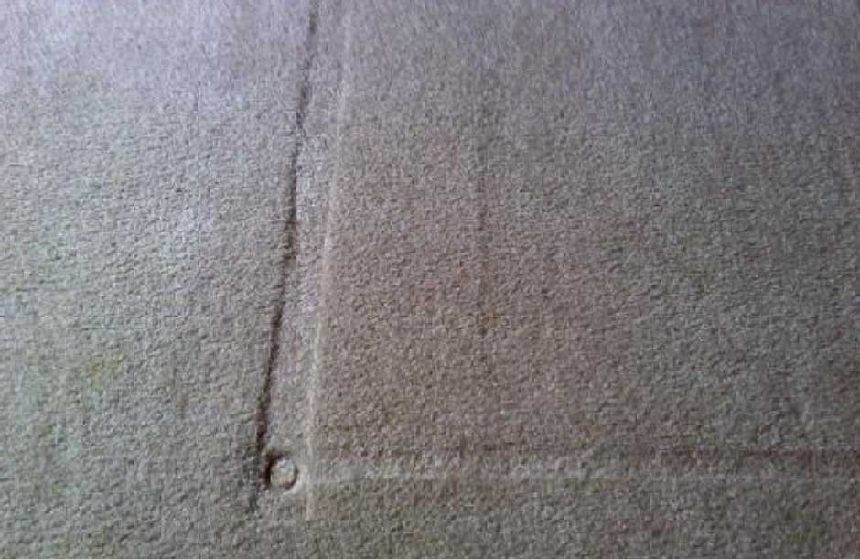 How to Deal with Carpet Dents from Furniture