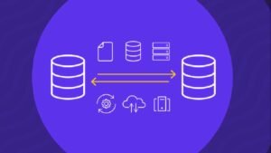 What are the different types of Data migration