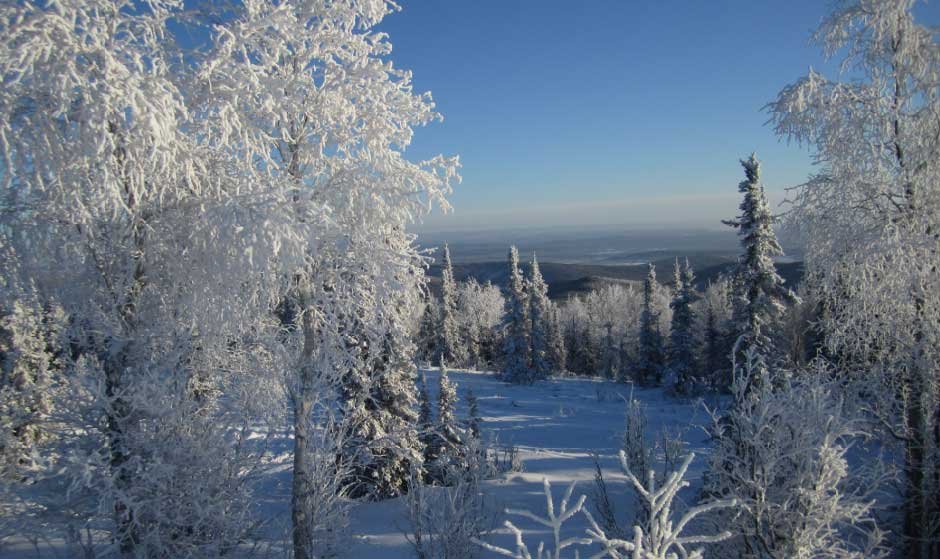 Alaska in Winter: Embracing the Magic of Snow and Ice