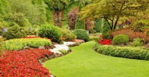 The Importance of Choosing Quality Plants for Your Landscape