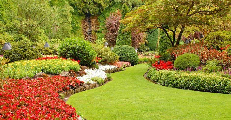The Importance of Choosing Quality Plants for Your Landscape