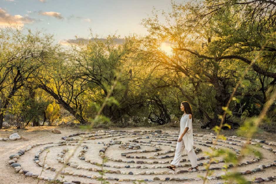 Thriving Where Nature Tests You: Tips for Harsh Environments