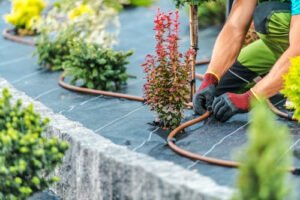 best-pe-weed-barrier-fabric-for-long-lasting-garde-1