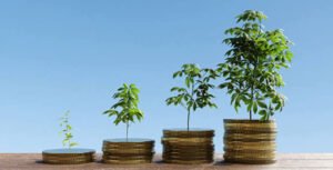 Compound Interest Calculator