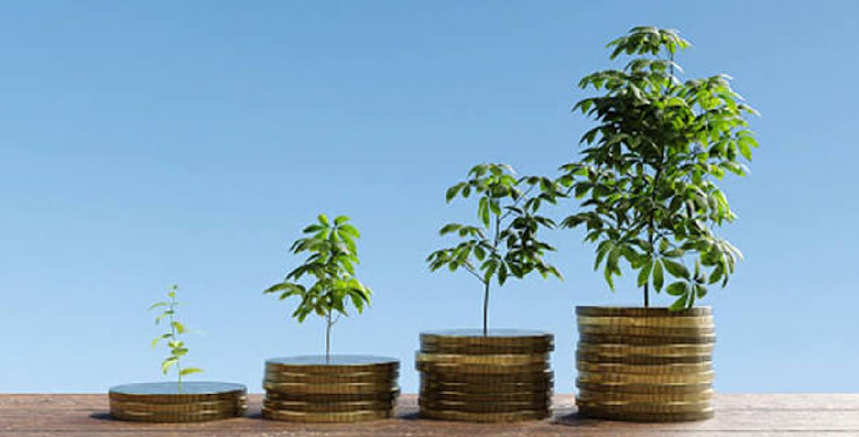 Compound Interest Calculator